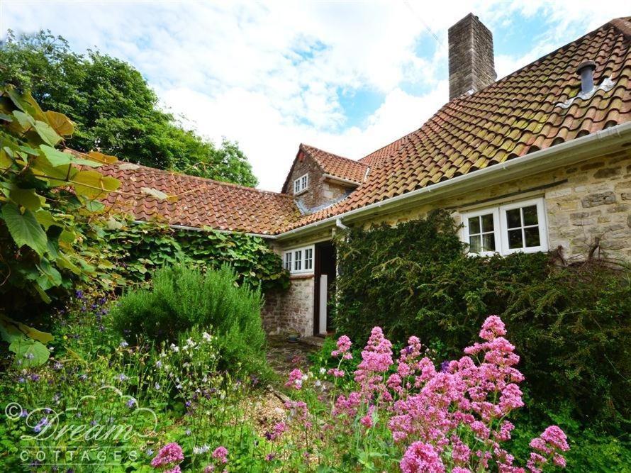 Sixpenny Cottage Upwey エクステリア 写真